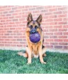 Kong Flexball Paars 15,5X15,5X15,5 CM