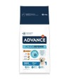 Advance - Maxi Adult 14 KG