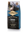 Carnilove - Zalm Adult. 12kg