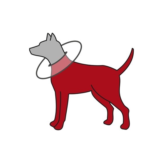 Trixie Beschermkraag Schuimrubber Grijs S 30-34X19,5 CM