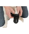 Trixie Pootbescherming Walker Active Zwart L 2 ST