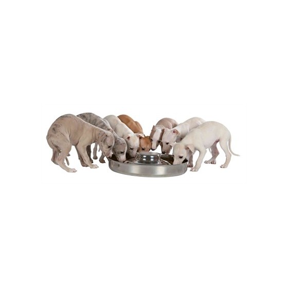 Trixie Junior Puppyvoerbak Rvs 38 CM 4 LTR