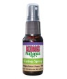 Kong Naturals - Catnip Spray, 30 ml