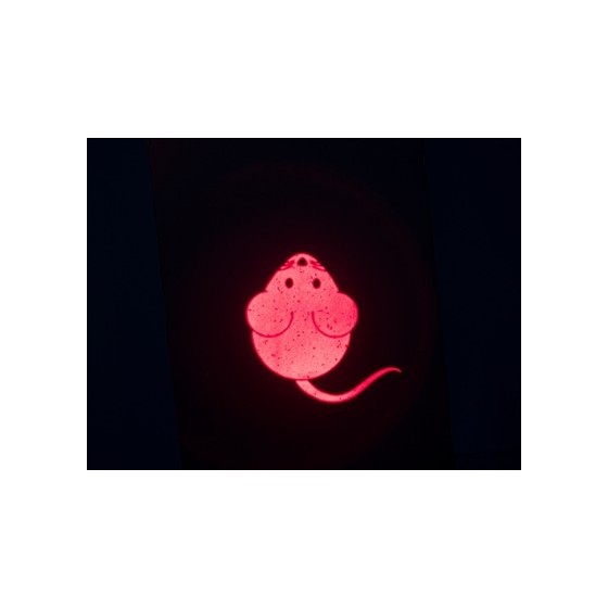 Trixie Laserspeelgoed Catch The Light Muis Usb Oplaadbaar 8,5 CM 4 ST