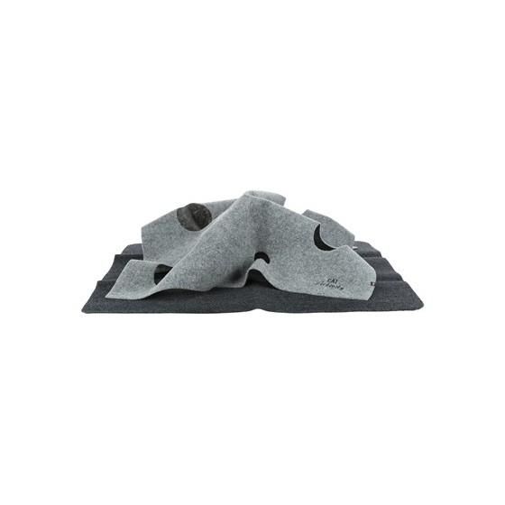 Trixie Cat Activity...