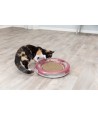 Trixie Race En Scratch Speelbaan Kunststof 37 CM