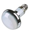 Trixie Reptiland Warmtelamp 150 WATT 9,5X9,5X13 CM 3 ST