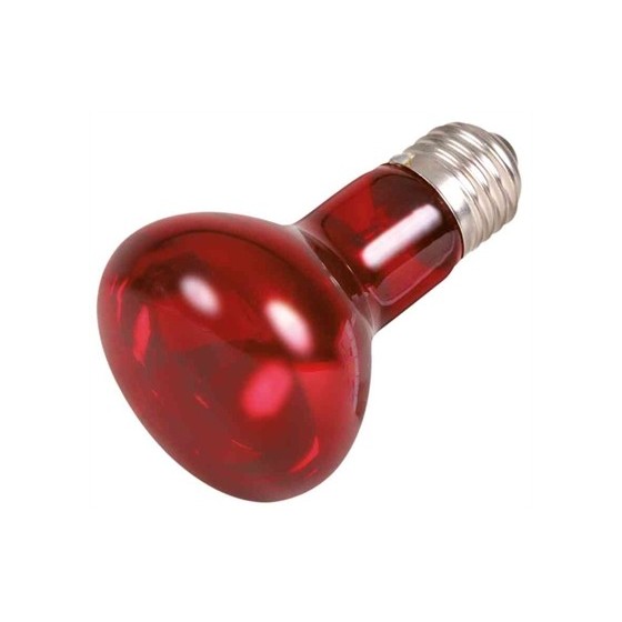 Trixie Reptiland Warmtelamp Infrarood 50 WATT 6,3X6,3X10 CM
