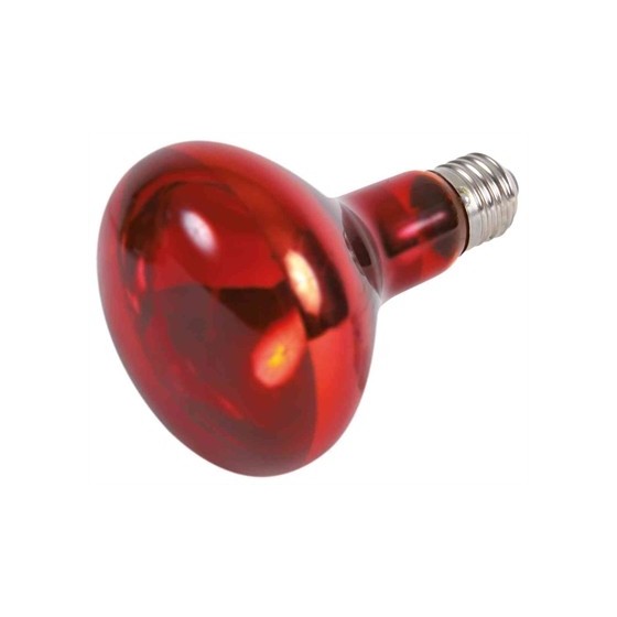 Trixie Reptiland Warmtelamp Infrarood 150 WATT 9,5X9,5X13 CM 3ST