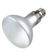 Trixie Reptiland Prosun Mixed D3 Uv-B Lamp Zelfstartend 100 WATT 9,5X9,5X13 CM