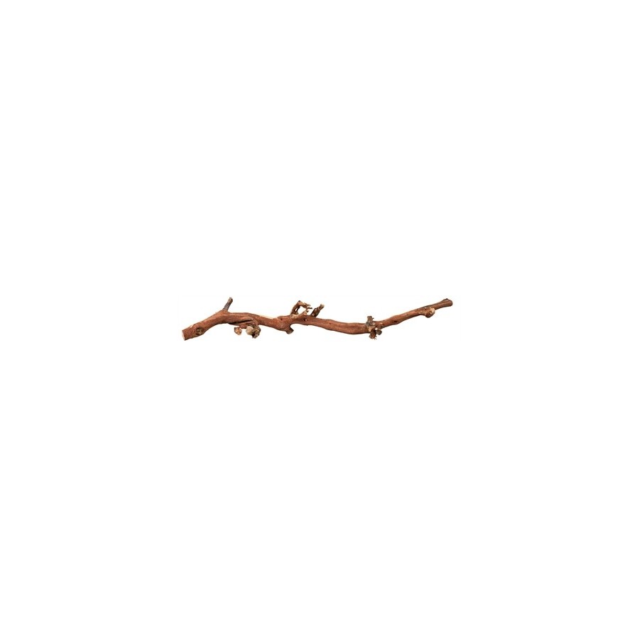 Trixie Druiventakken 40-60 CM 5 ST