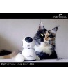 Eyenimal - Pet Vision Full HD Camera
