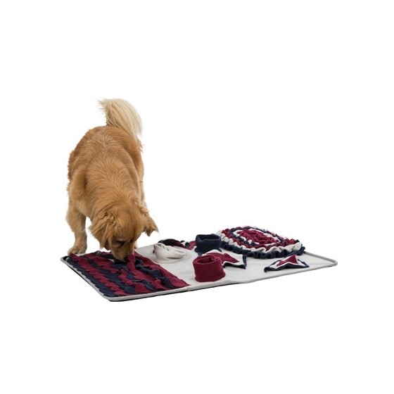Trixie Dog Activity...