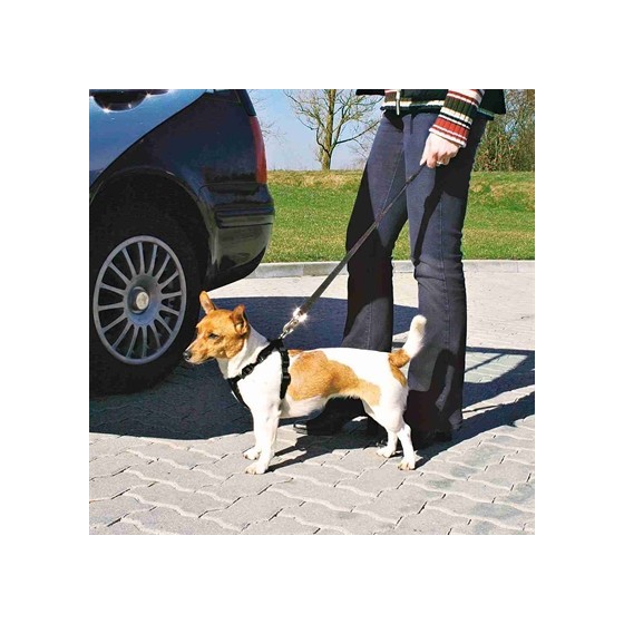 Trixie Hondentuig Auto Inclusief Gordel Zwart 20-50X1,5 CM