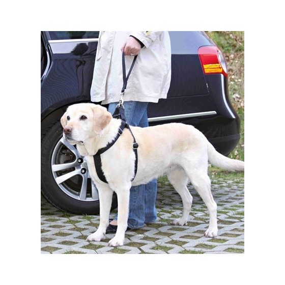 Trixie Autogordel Korthouder Universeel Zwart 27X4,5 CM