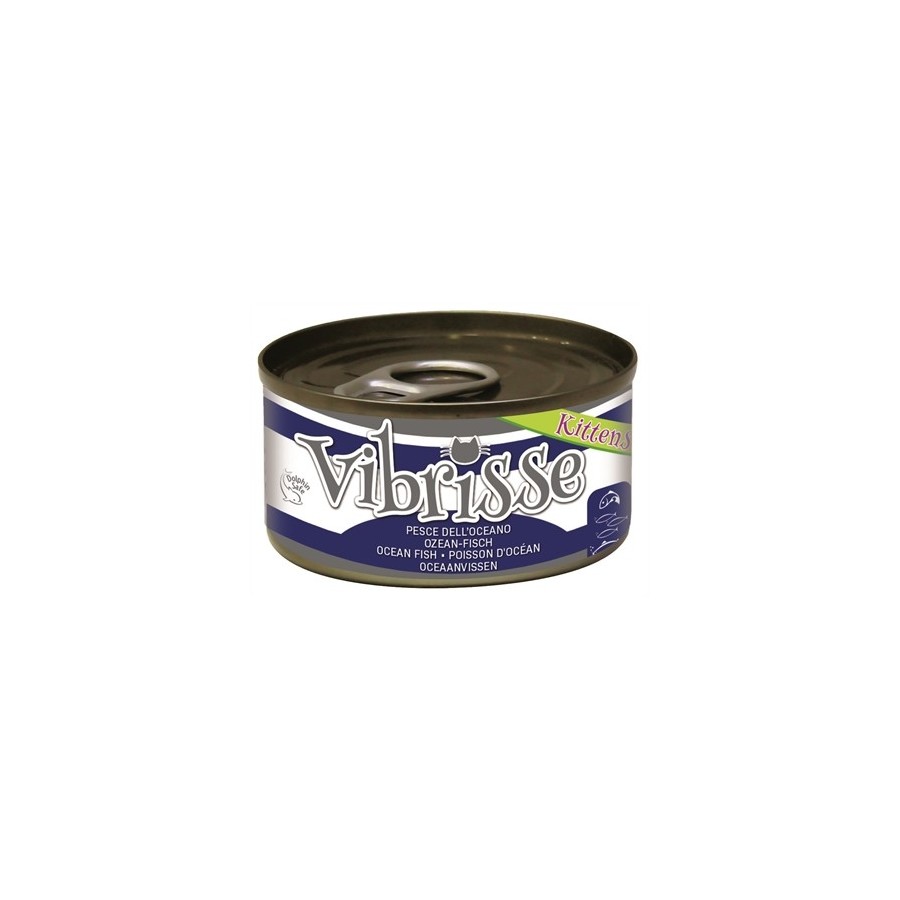 Vibrisse - Oceaanvis. 24 st a 70gr