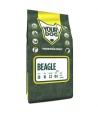 Yourdog Beagle Pup 3 KG
