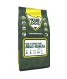 Yourdog Grand Anglo-Français Blanc Et Orange Pup 3 KG