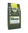 Yourdog Italiaanse Windhond Pup 3 KG