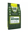 Yourdog Portugese Jachthond Pup 3 KG