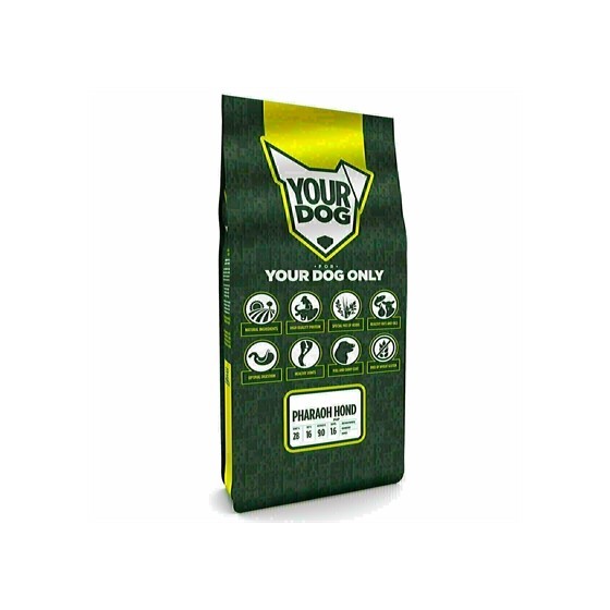 Yourdog Pharaoh Hond Pup 12 KG