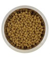 Yourdog - Dwerg en Toypoedel Volwassen. 12kg