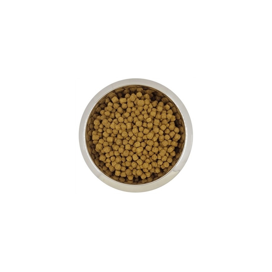 Yourdog - Dwerg en Toypoedel, Senior. 12kg