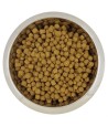 Yourdog - Dwerg en Toypoedel, Senior. 12kg