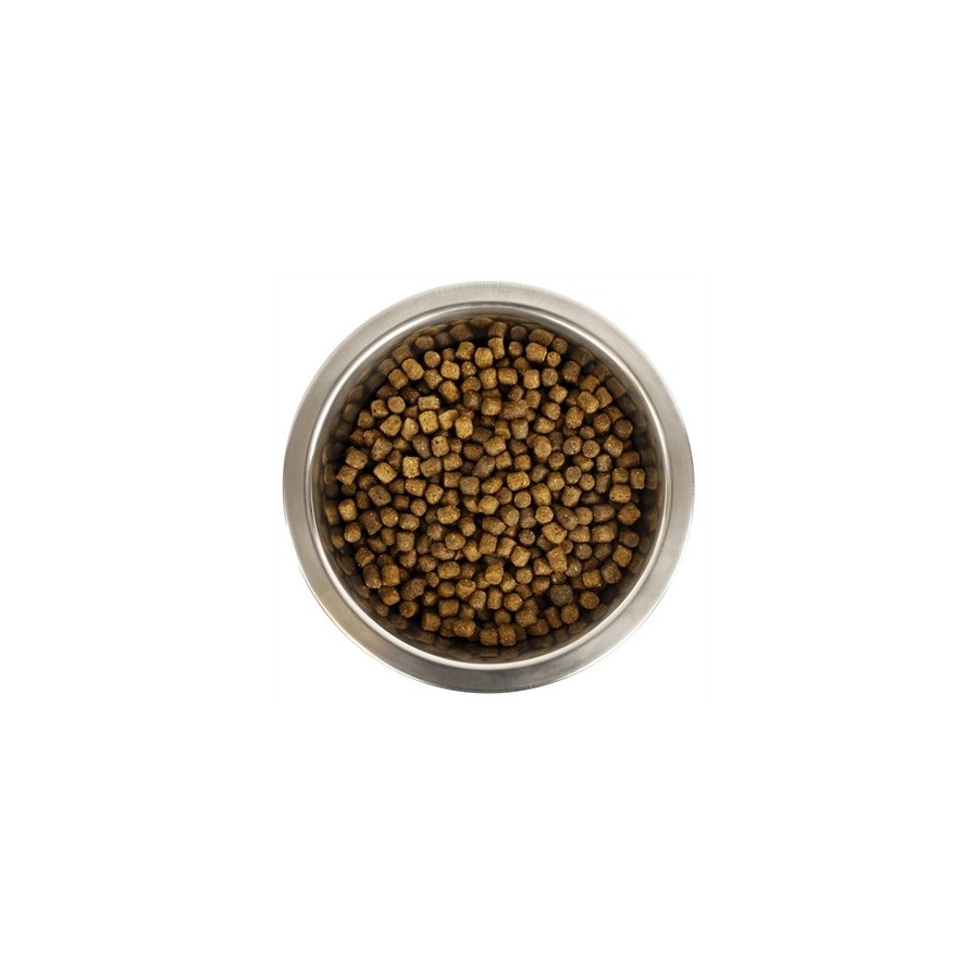 Yourdog - Dwerg- Of Toypoedel Pup 3kg