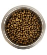 Yourdog - Dwerg- Of Toypoedel Pup 3kg