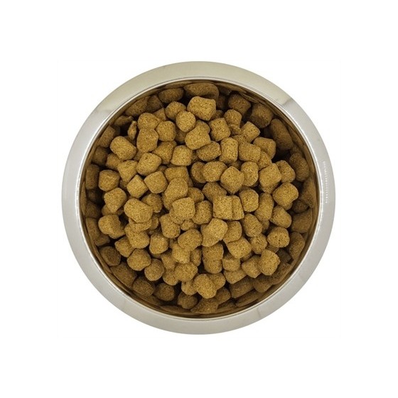 Yourdog - Koningspoedel...