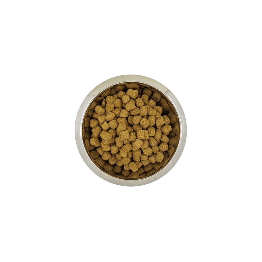 Yourdog - Koningspoedel Volwassen 12kg