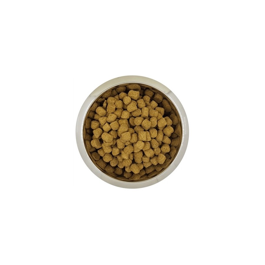 Yourdog - Koningspoedel Senior 12kg