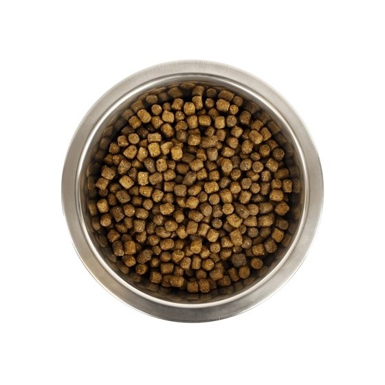 Yourdog - Koningspoedel Pup...