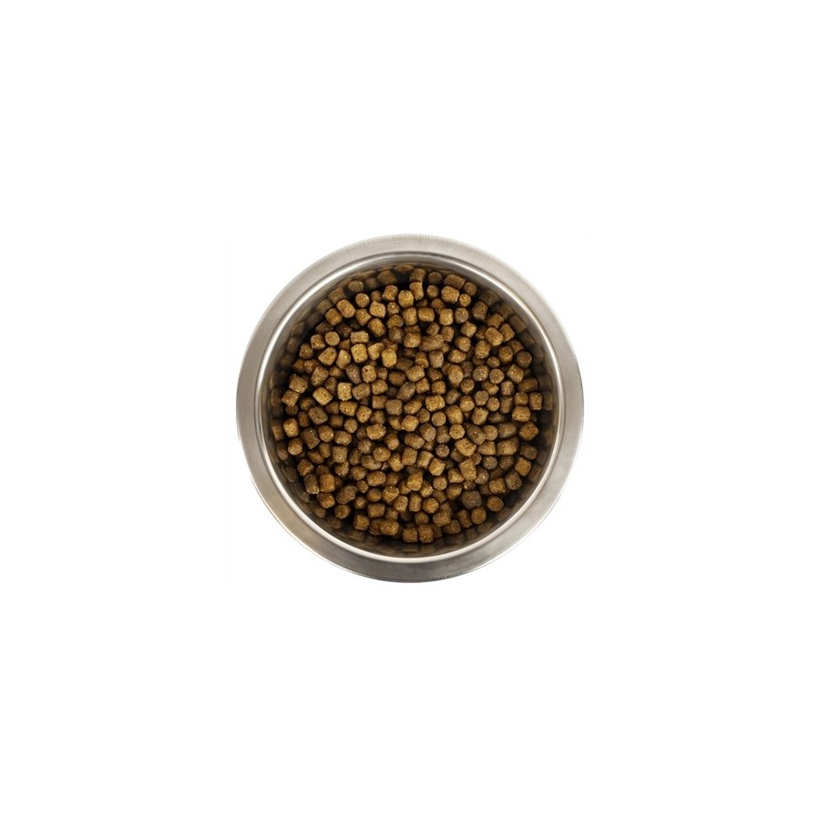Yourdog - Koningspoedel Pup 12kg
