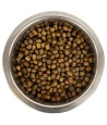 Yourdog - Koningspoedel Pup 12kg