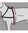 Trixie Hondentuig Trainingstuig Lead'n'walk Soft Zwart 45-70X2,5 CM