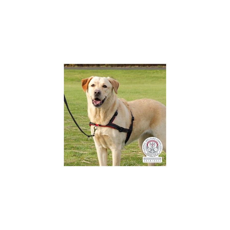 Trixie Hondentuig Trainingstuig Lead'n'walk Soft Zwart 65-105X2,5 CM