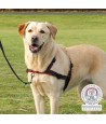 Trixie Hondentuig Trainingstuig Lead'n'walk Soft Zwart 65-105X2,5 CM