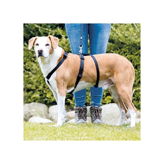 Trixie Hondentuig Stay Zwart 32-45X1 CM