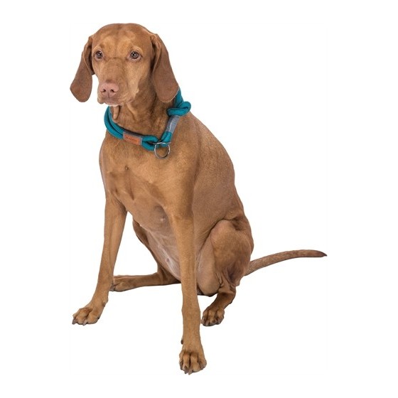 Trixie Halsband Hond Be Nordic Halfslip Petrol / Lichtgrijs 30X0,6 CM