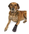 Trixie Pootbescherming Walker Care Comfort Zwart XXL 2X2 ST