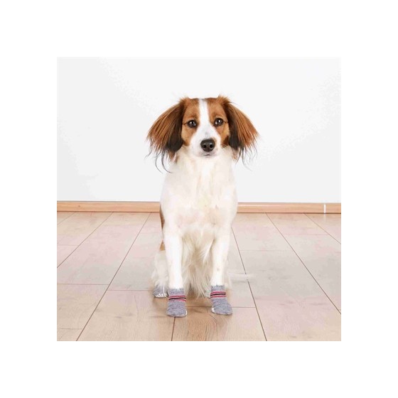 Trixie Hondensokken Anti-Slip Grijs L-XL 3X2 ST