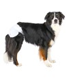 Trixie Luiers Voor Teven S-M 28-40 CM 2X12 ST