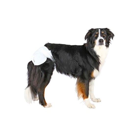 Trixie Luiers Voor Teven XL 40-58 CM 12 ST