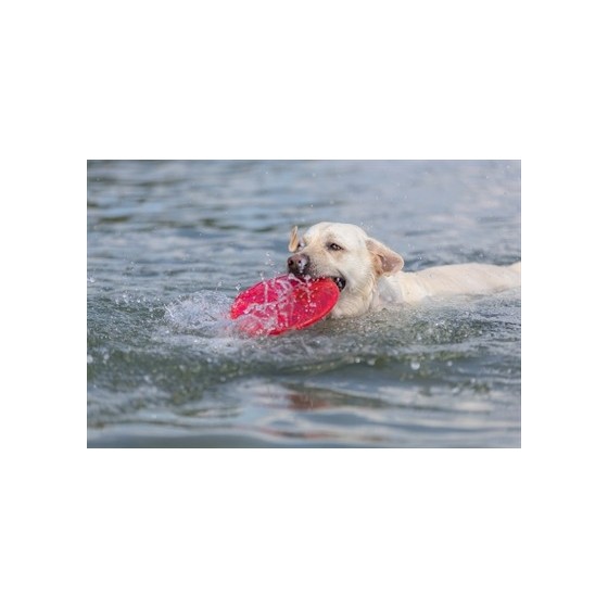 Trixie Dog Disc Drijvend Tpr Assorti 22X22X22 CM 3 ST