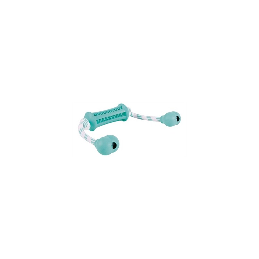 Trixie Denta Fun Natuurrubber Stick Met Muntsmaak Aan Koord 37X9 CM 3 ST