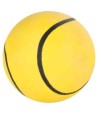 Trixie Drijvende Schuimrubber Bal Assorti 5,5X5,5X5,5 CM 4 ST