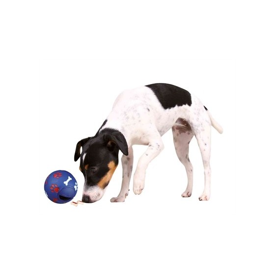 Trixie Snackbal Kunststof Blauw 11X11X11 CM