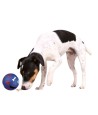 Trixie Snackbal Kunststof Blauw 11X11X11 CM